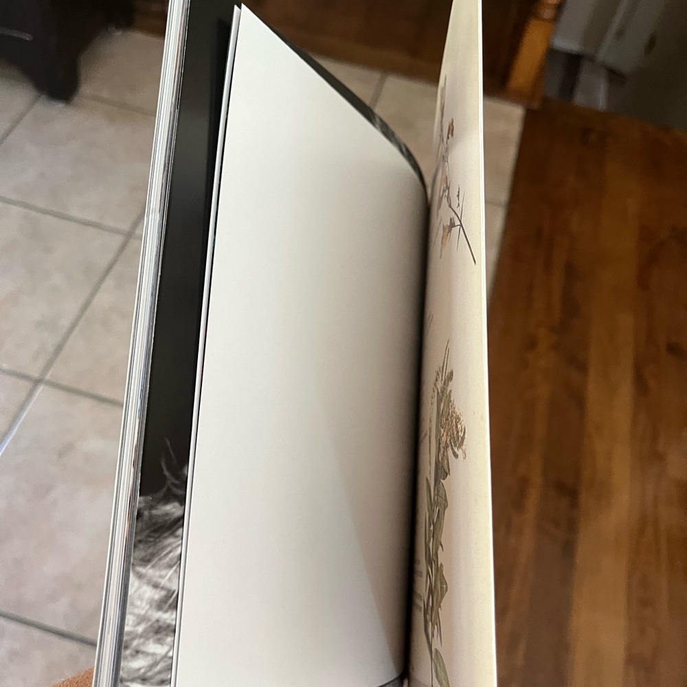 Taylor Swift Reputation Book Only Volume 2 New Al… - image 3